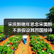 宋庆龄晚年思念宋美龄：不断假设其回国接待程序（图4）
