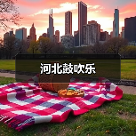 河北鼓吹乐(图4) 河北鼓吹乐(图4)