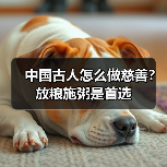 中国古人怎么做慈善? 放粮施粥是首选(图2) 中国古人怎么做慈善? 放粮施粥是首选(图2)