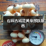 石峁古城是黄帝部族居邑