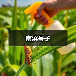 南溪号子