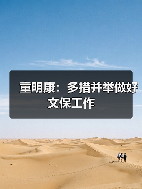 童明康：多措并举做好文保工作