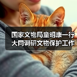 国家文物局童明康一行大同调研文物保护工作(图1) 国家文物局童明康一行大同调研文物保护工作(图1)