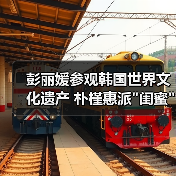 彭丽媛参观韩国世界文化遗产 朴槿惠派