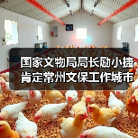 国家文物局局长励小捷肯定常州文保工作城市记忆(图3) 国家文物局局长励小捷肯定常州文保工作城市记忆(图3)