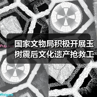国家文物局积极开展玉树震后文化遗产抢救工作（图4）