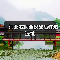河北发现西汉酿酒作坊遗址