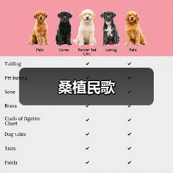 桑植民歌(图4) 桑植民歌(图4)