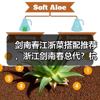 剑南春江浙菜搭配推荐，浙江剑南春总代？杭州剑南春经销商