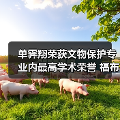 单霁翔荣获文物保护专业内最高学术荣誉 福布斯奖