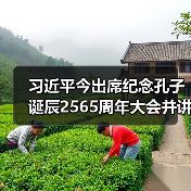 习近平今出席纪念孔子诞辰2565周年大会并讲话（图3）