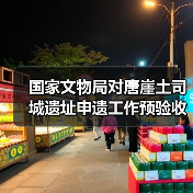 国家文物局对唐崖土司城遗址申遗工作预验收