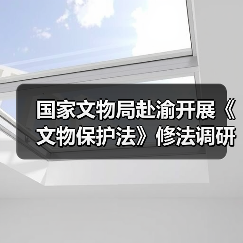 国家文物局赴渝开展《文物保护法》修法调研（图3）