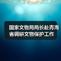 国家文物局局长赴青海省调研文物保护工作(图1) 国家文物局局长赴青海省调研文物保护工作(图1)