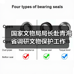 国家文物局局长赴青海省调研文物保护工作(图4) 国家文物局局长赴青海省调研文物保护工作(图4)