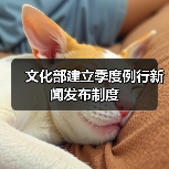 文化部建立季度例行新闻发布制度(图2) 文化部建立季度例行新闻发布制度(图2)