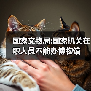 国家文物局:国家机关在职人员不能办博物馆(图2) 国家文物局:国家机关在职人员不能办博物馆(图2)