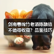 剑南春绵竹老酒陈酿值不值得收藏?品鉴技巧与存储全攻略(图4) 剑南春绵竹老酒陈酿值不值得收藏?品鉴技巧与存储全攻略(图4)