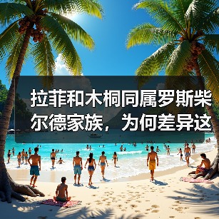 拉菲和木桐同属罗斯柴尔德家族,为何差异这么大?(图2) 拉菲和木桐同属罗斯柴尔德家族,为何差异这么大?(图2)