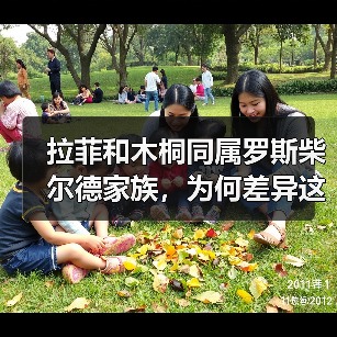 拉菲和木桐同属罗斯柴尔德家族,为何差异这么大?(图3) 拉菲和木桐同属罗斯柴尔德家族,为何差异这么大?(图3)