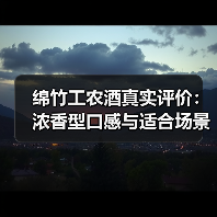 绵竹工农酒真实评价:浓香型口感与适合场景全解析(图3) 绵竹工农酒真实评价:浓香型口感与适合场景全解析(图3)