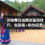 剑南春白酒真假鉴别技巧：包装箱+防伪码查询全攻略