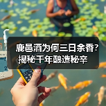 鹿邑酒为何三日余香?揭秘千年酿造秘辛(图2) 鹿邑酒为何三日余香?揭秘千年酿造秘辛(图2)