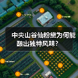 中央山谷仙粉黛为何能酿出独特风味？