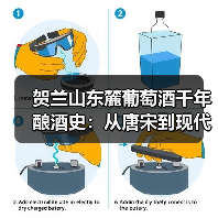 贺兰山东麓葡萄酒千年酿酒史：从唐宋到现代的跨越