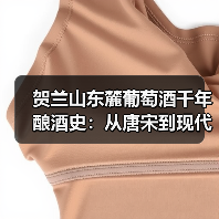 贺兰山东麓葡萄酒千年酿酒史：从唐宋到现代的跨越（图2）