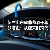 贺兰山东麓葡萄酒千年酿酒史：从唐宋到现代的跨越（图4）