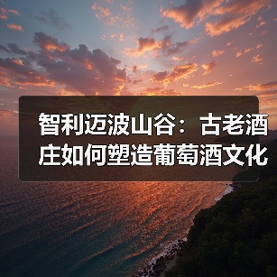 智利迈波山谷:古老酒庄如何塑造葡萄酒文化?(图3) 智利迈波山谷:古老酒庄如何塑造葡萄酒文化?(图3)