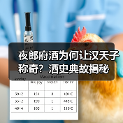 夜郎府酒为何让汉天子称奇？酒史典故揭秘
