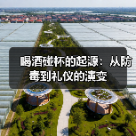 喝酒碰杯的起源:从防毒到礼仪的演变(图4) 喝酒碰杯的起源:从防毒到礼仪的演变(图4)