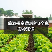 葡酒投资背后的3个真实冷知识(图4) 葡酒投资背后的3个真实冷知识(图4)
