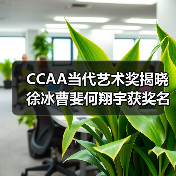 CCAA当代艺术奖揭晓徐冰曹斐何翔宇获奖名单(图3) CCAA当代艺术奖揭晓徐冰曹斐何翔宇获奖名单(图3)