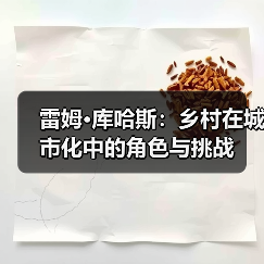 雷姆·库哈斯:乡村在城市化中的角色与挑战(图2) 雷姆·库哈斯:乡村在城市化中的角色与挑战(图2)