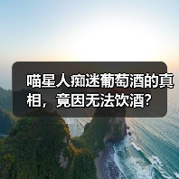 喵星人痴迷葡萄酒的真相,竟因无法饮酒?(图2) 喵星人痴迷葡萄酒的真相,竟因无法饮酒?(图2)