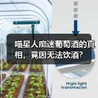 喵星人痴迷葡萄酒的真相,竟因无法饮酒?(图3) 喵星人痴迷葡萄酒的真相,竟因无法饮酒?(图3)