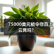 75000美元能令你直上云霄吗？