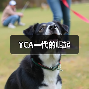 YCA一代的崛起