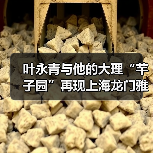 叶永青与他的大理“芊子园”再现上海龙门雅集(图4) 叶永青与他的大理“芊子园”再现上海龙门雅集(图4)