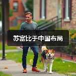 苏富比于中国布局（图1）