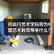 拍卖行艺术学院将为中国艺术教育带来什么?(图4) 拍卖行艺术学院将为中国艺术教育带来什么?(图4)