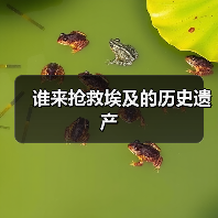 谁来抢救埃及的历史遗产(图3) 谁来抢救埃及的历史遗产(图3)