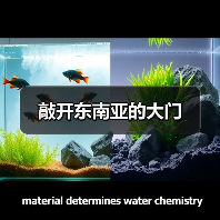 敲开东南亚的大门(图4) 敲开东南亚的大门(图4)
