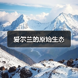 爱尔兰的原始生态