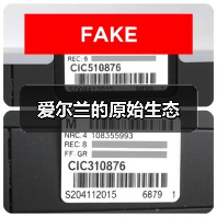 爱尔兰的原始生态（图3）