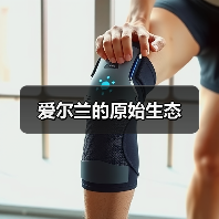 爱尔兰的原始生态（图4）