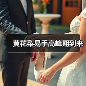 黄花梨易手高峰期到来(图1) 黄花梨易手高峰期到来(图1)